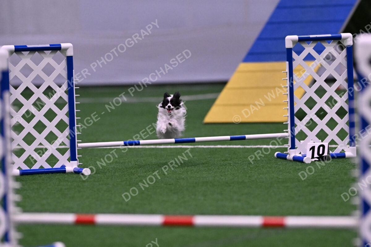 Daphne-Denise-Schneider-00051