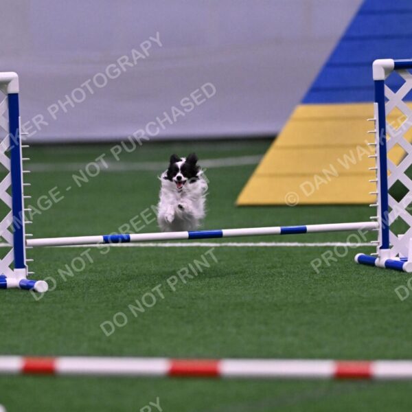 Daphne-Denise-Schneider-00051