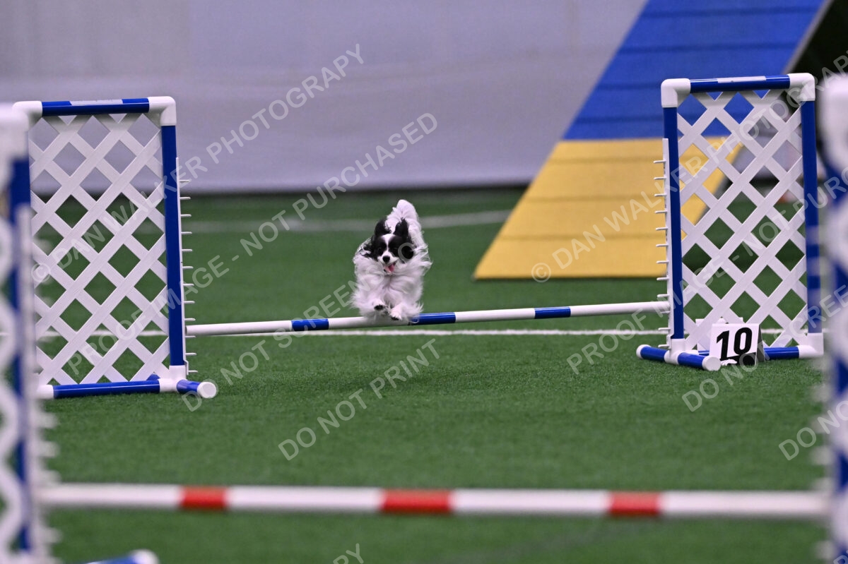 Daphne-Denise-Schneider-00052