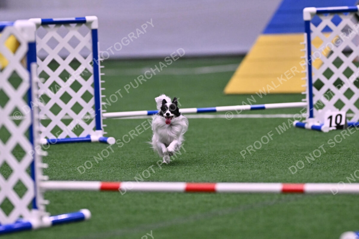 Daphne-Denise-Schneider-00053