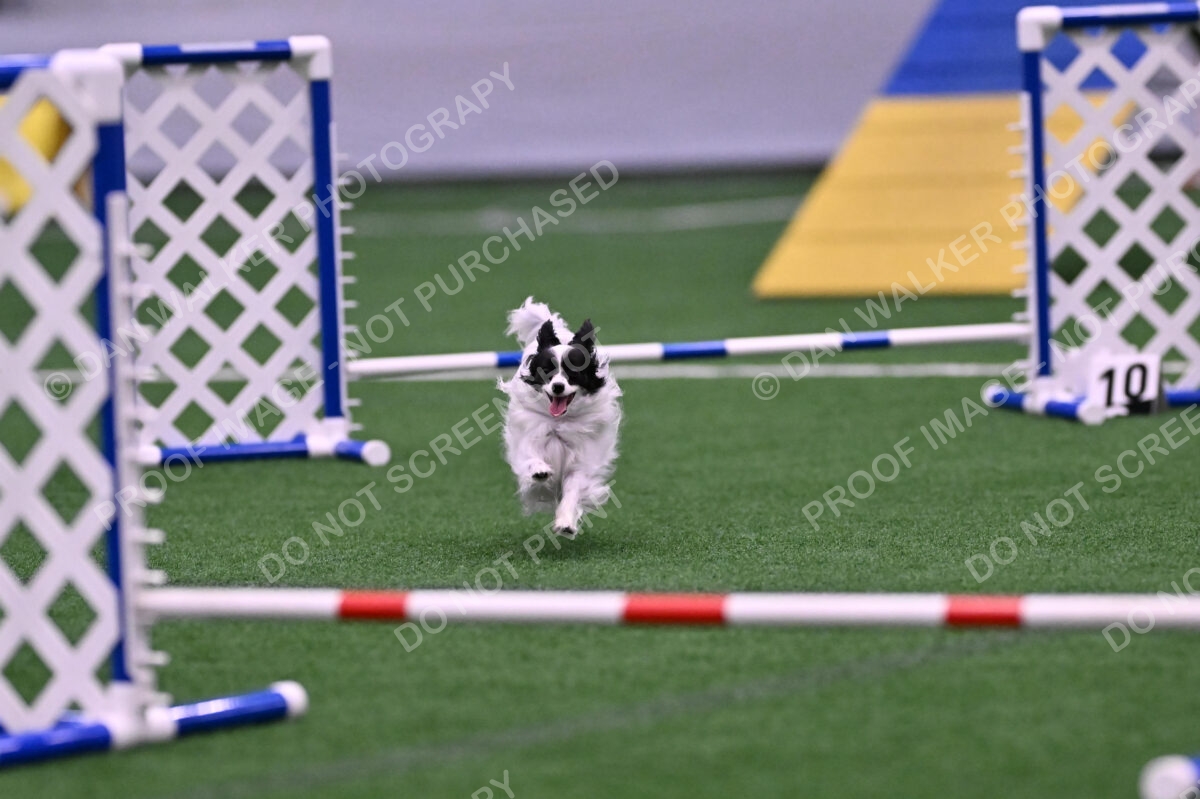 Daphne-Denise-Schneider-00054