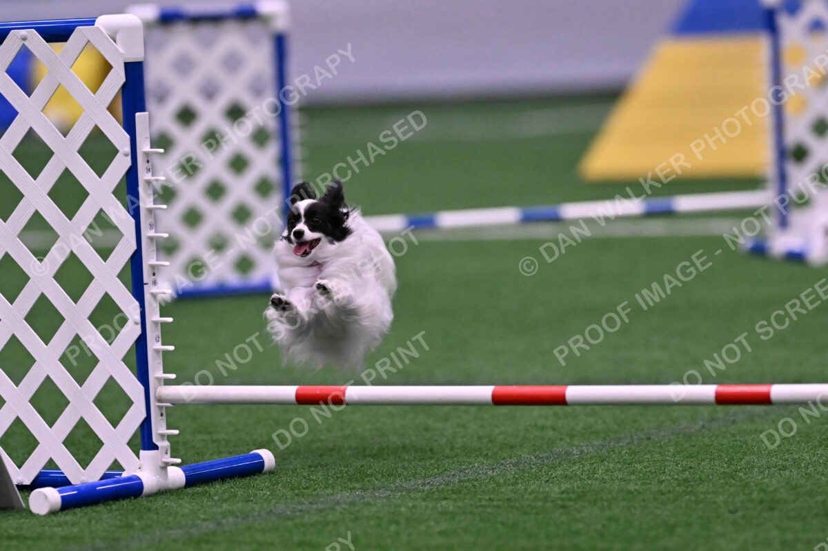 Daphne-Denise-Schneider-00055