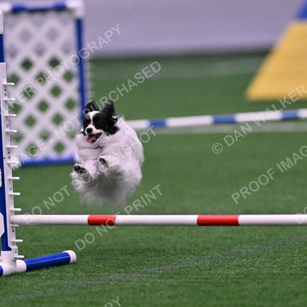 Daphne-Denise-Schneider-00055