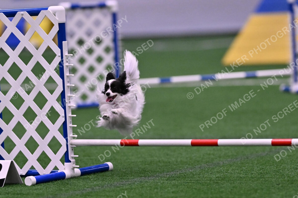 Daphne-Denise-Schneider-00056