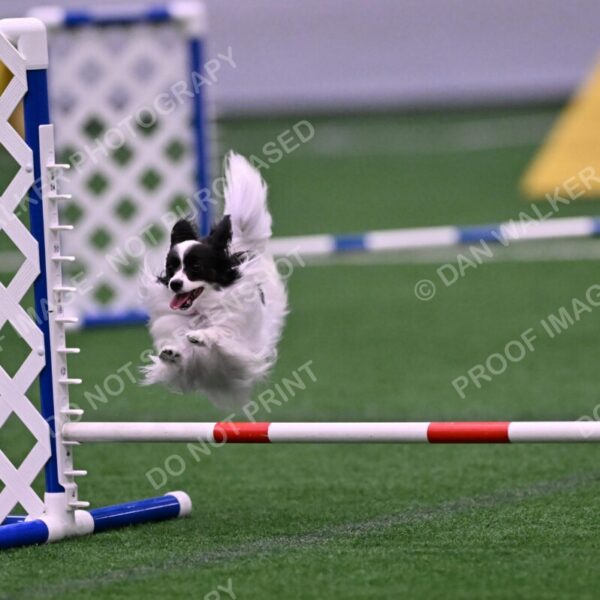 Daphne-Denise-Schneider-00056