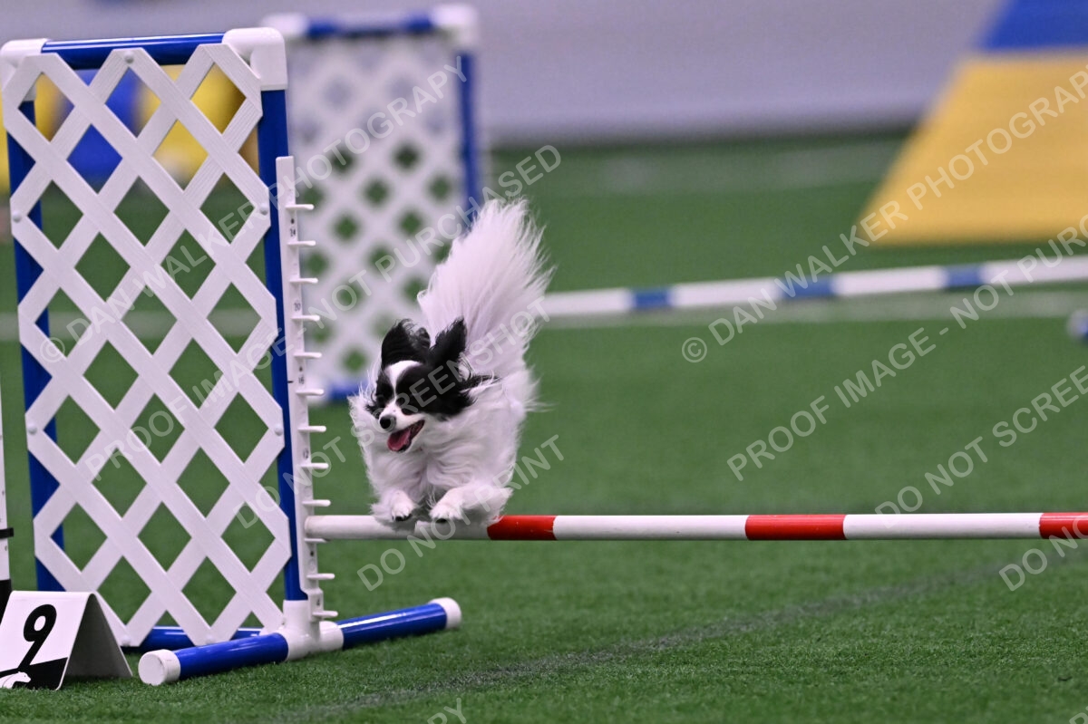 Daphne-Denise-Schneider-00057