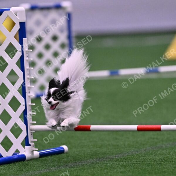 Daphne-Denise-Schneider-00057