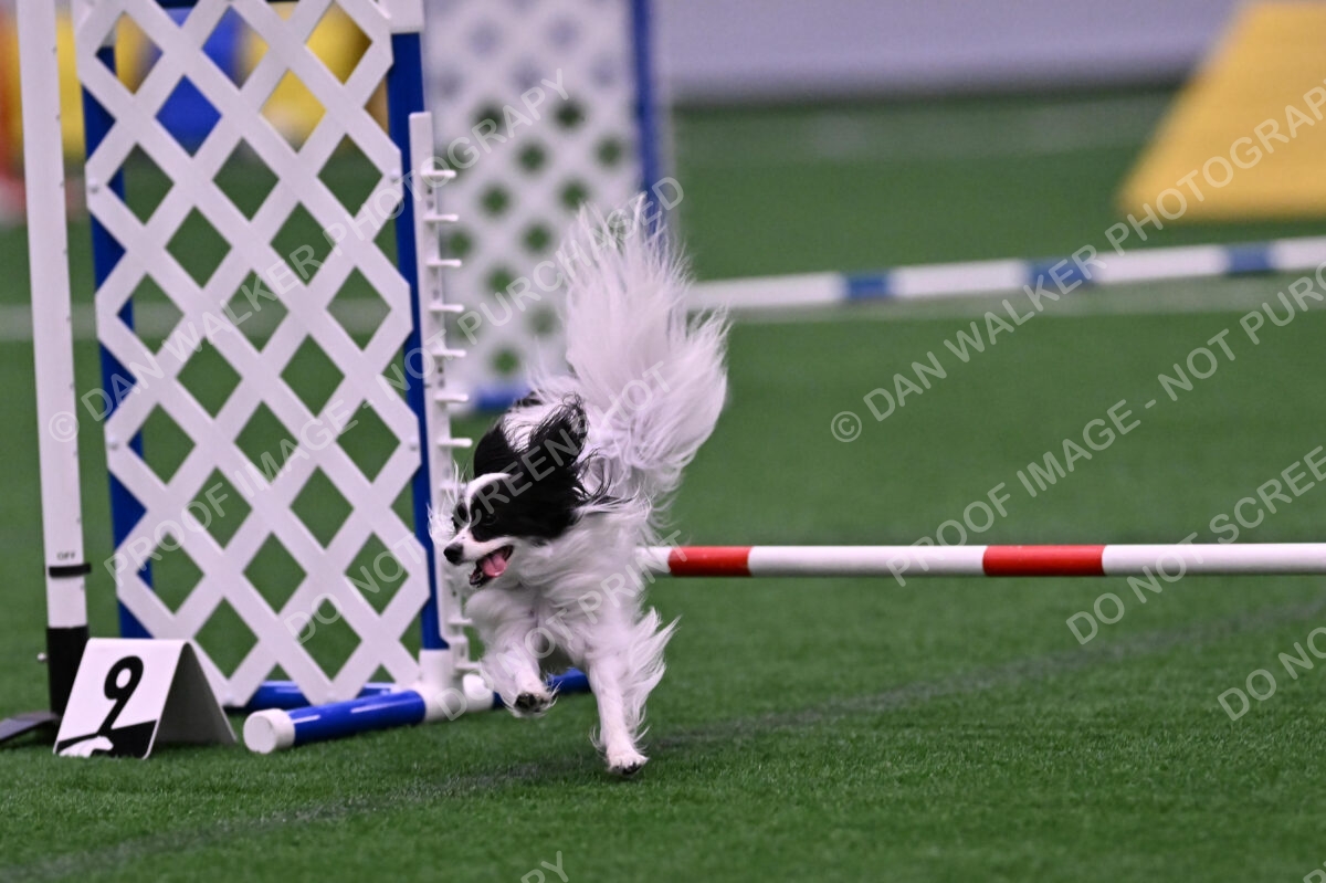 Daphne-Denise-Schneider-00058