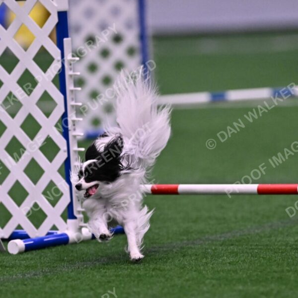 Daphne-Denise-Schneider-00058