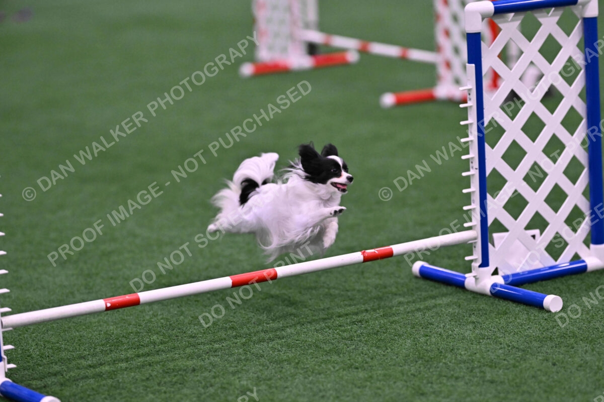 Daphne-Denise-Schneider-00062