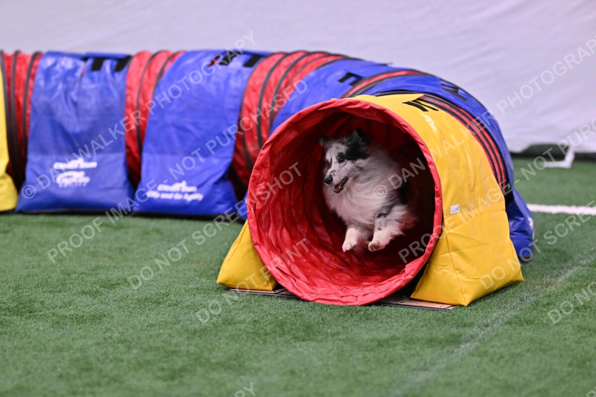 Dulci-Ulli-Weinrich-06774