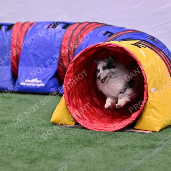 Dulci-Ulli-Weinrich-06774