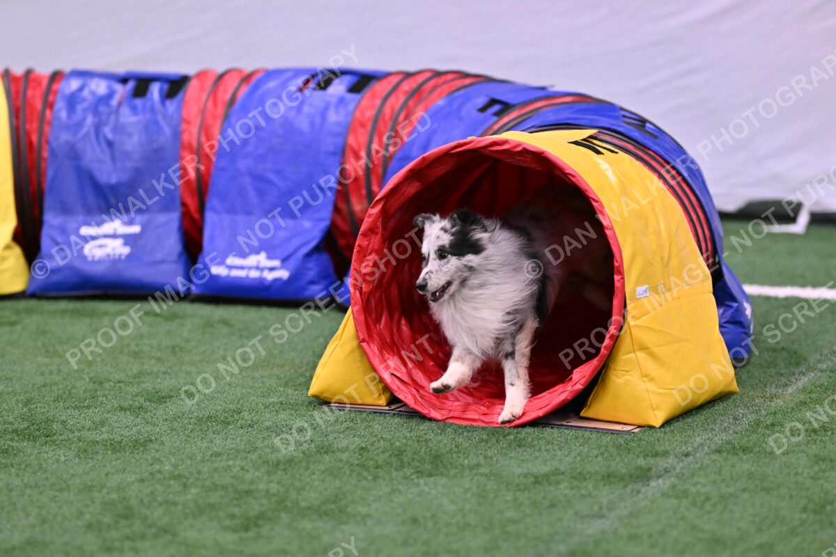 Dulci-Ulli-Weinrich-06775