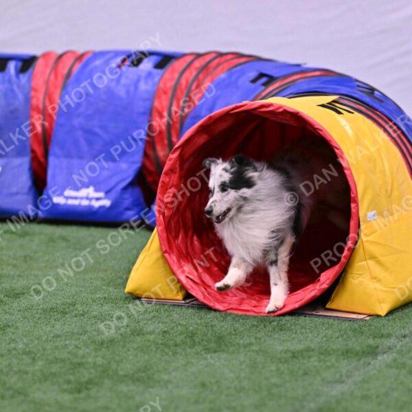 Dulci-Ulli-Weinrich-06775