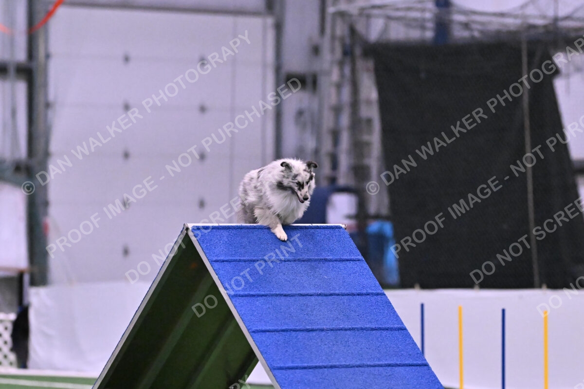 Dulci-Ulli-Weinrich-06777