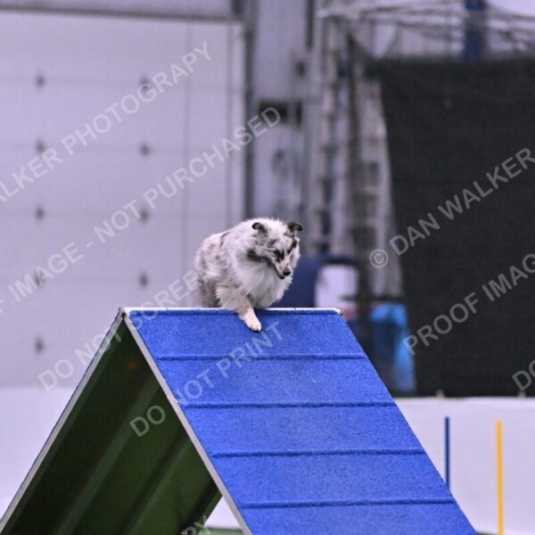 Dulci-Ulli-Weinrich-06777