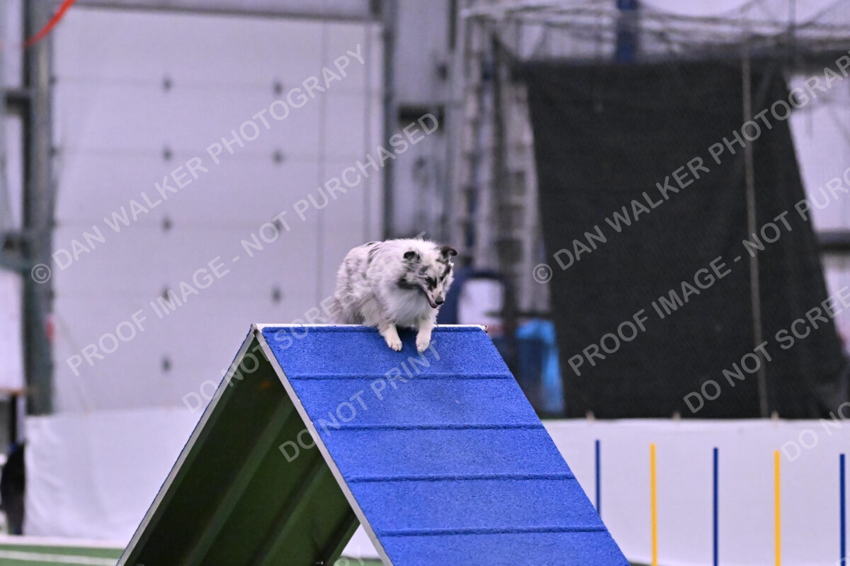 Dulci-Ulli-Weinrich-06778