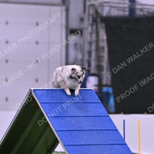 Dulci-Ulli-Weinrich-06778