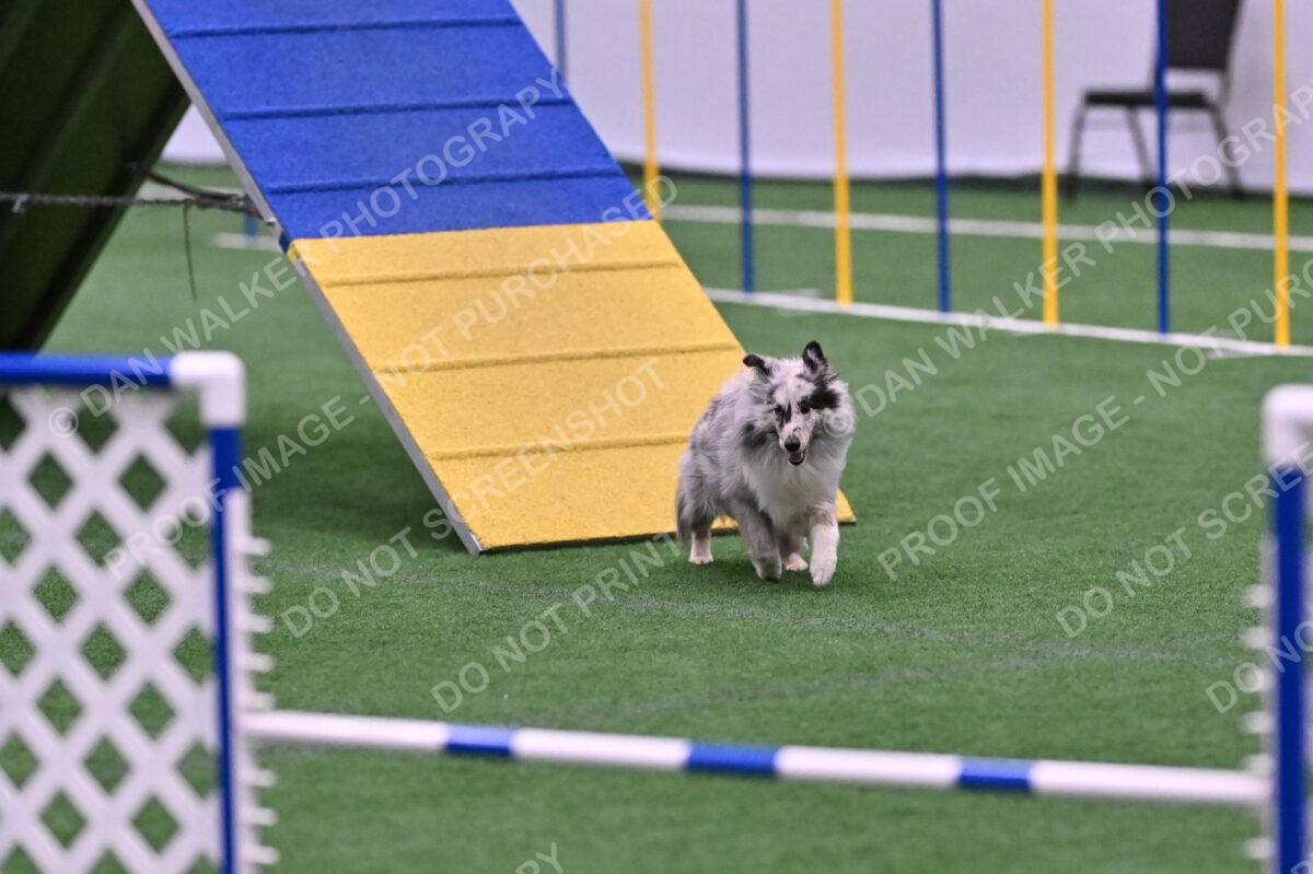 Dulci-Ulli-Weinrich-06781