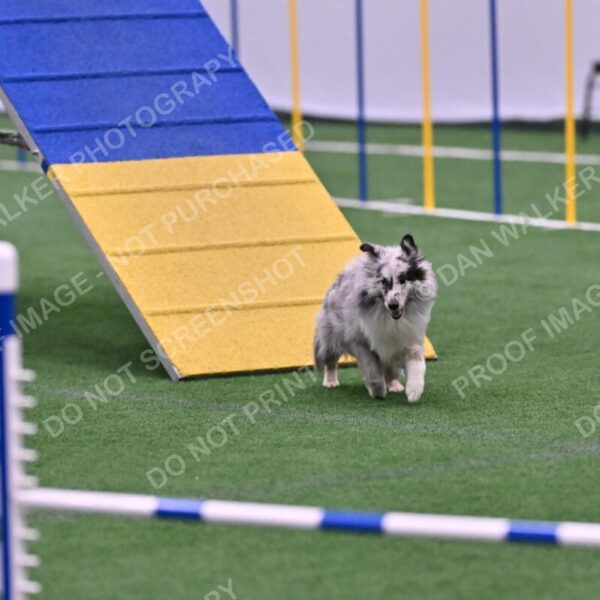 Dulci-Ulli-Weinrich-06781