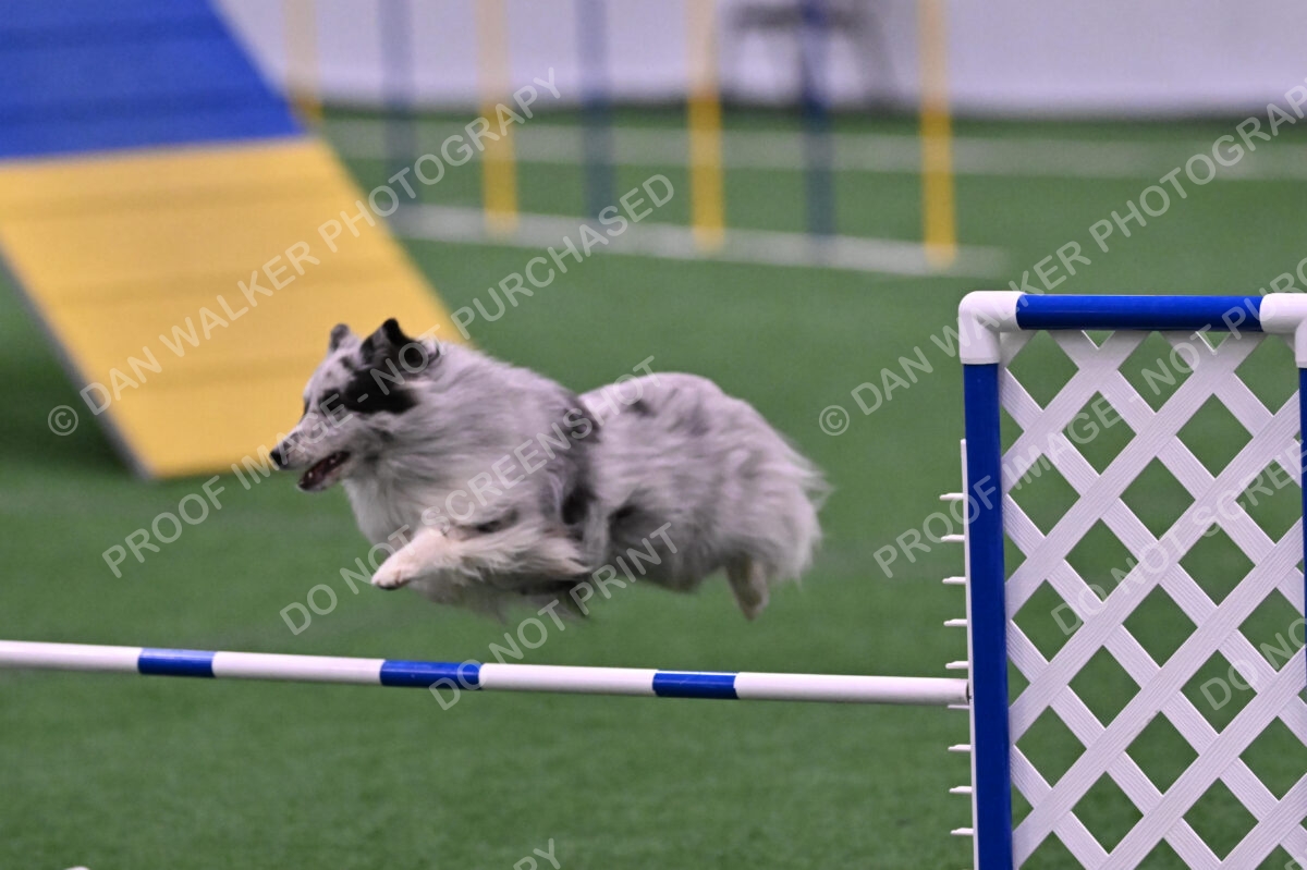 Dulci-Ulli-Weinrich-06783