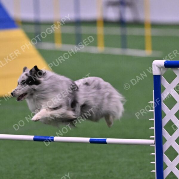 Dulci-Ulli-Weinrich-06783