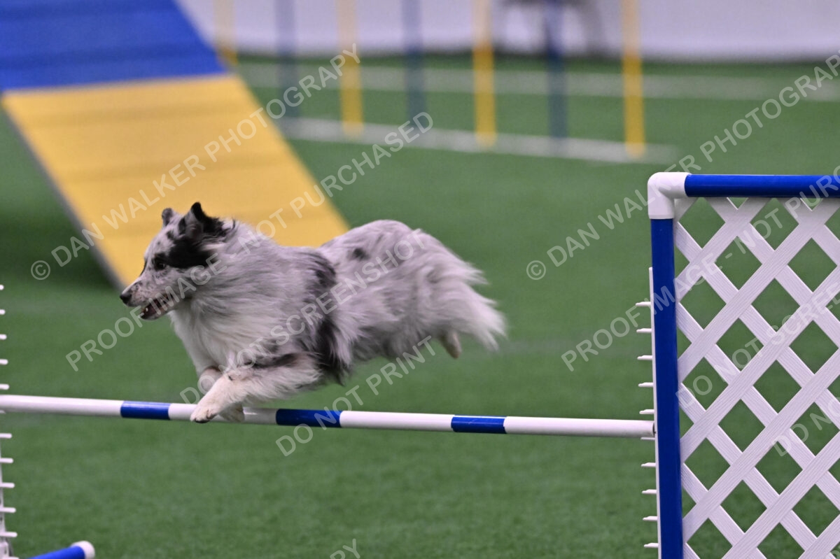 Dulci-Ulli-Weinrich-06784