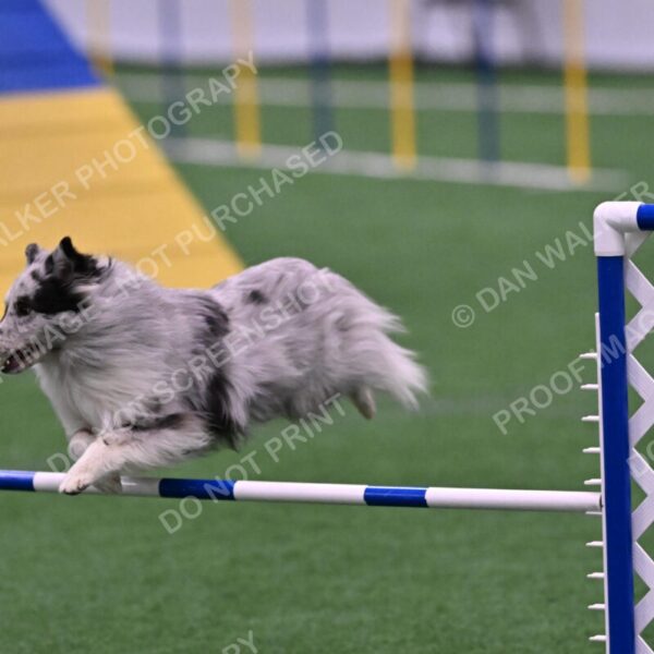 Dulci-Ulli-Weinrich-06784