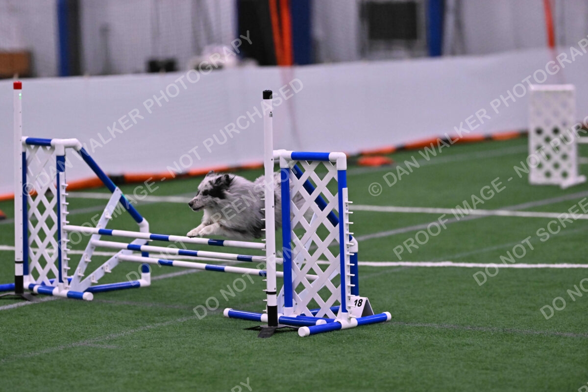 Dulci-Ulli-Weinrich-06788