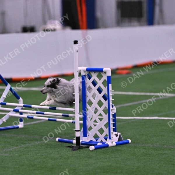 Dulci-Ulli-Weinrich-06788