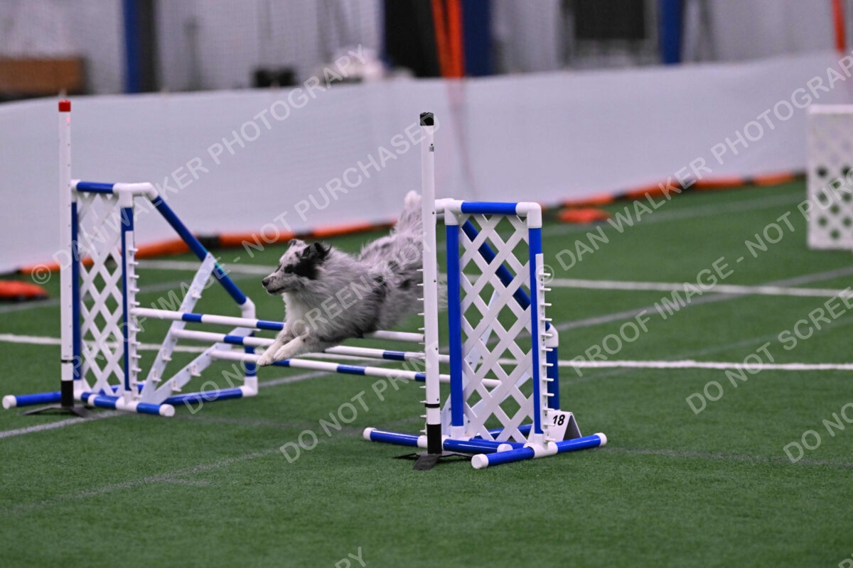 Dulci-Ulli-Weinrich-06789