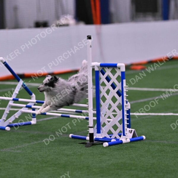 Dulci-Ulli-Weinrich-06789