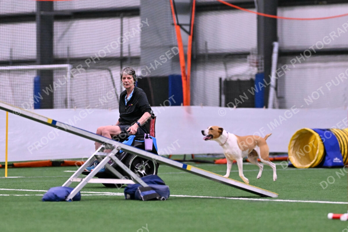 Galadocious-Jeanne-Fogarty-06269