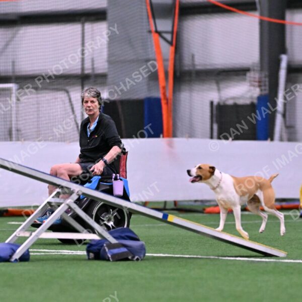 Galadocious-Jeanne-Fogarty-06269