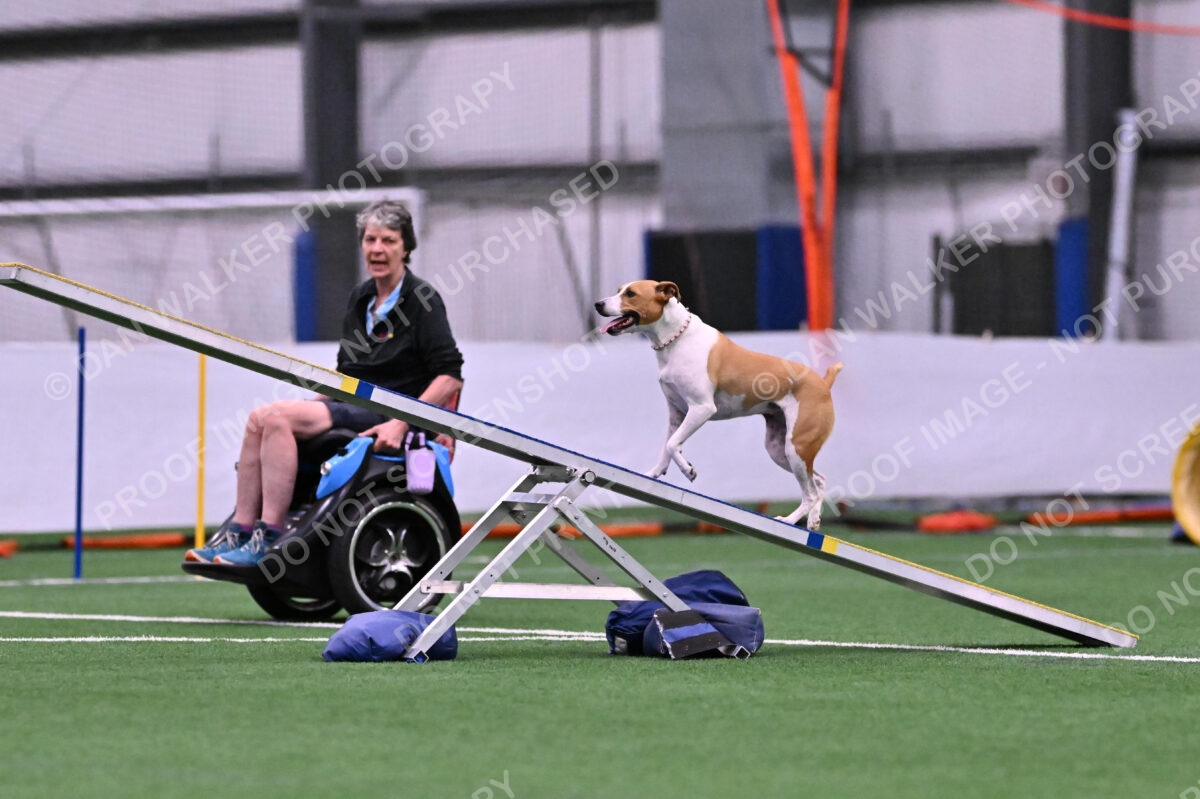 Galadocious-Jeanne-Fogarty-06271