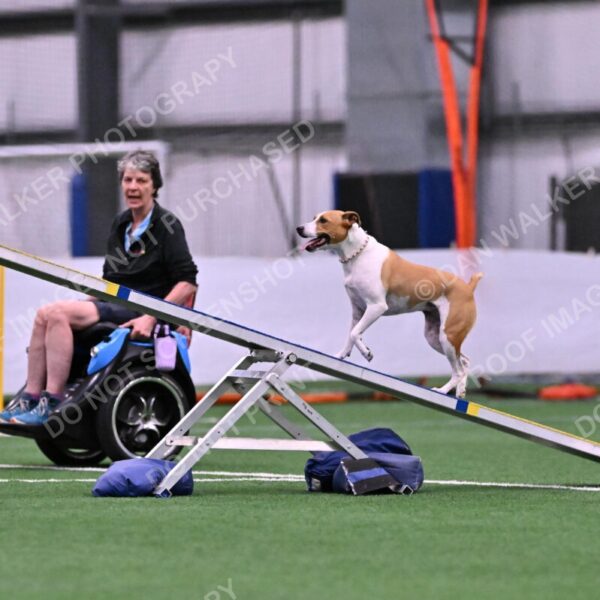 Galadocious-Jeanne-Fogarty-06271