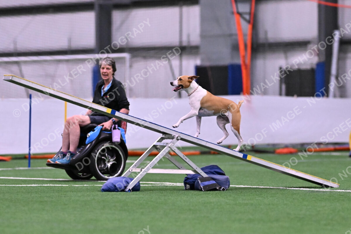 Galadocious-Jeanne-Fogarty-06272