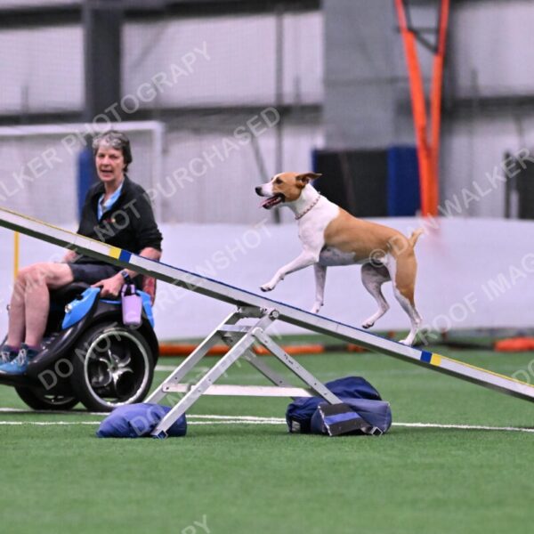 Galadocious-Jeanne-Fogarty-06272