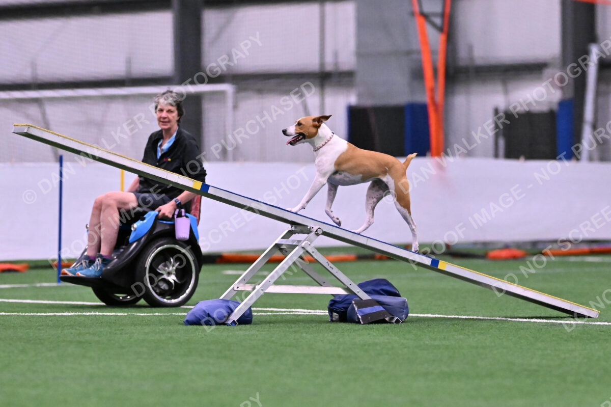 Galadocious-Jeanne-Fogarty-06273