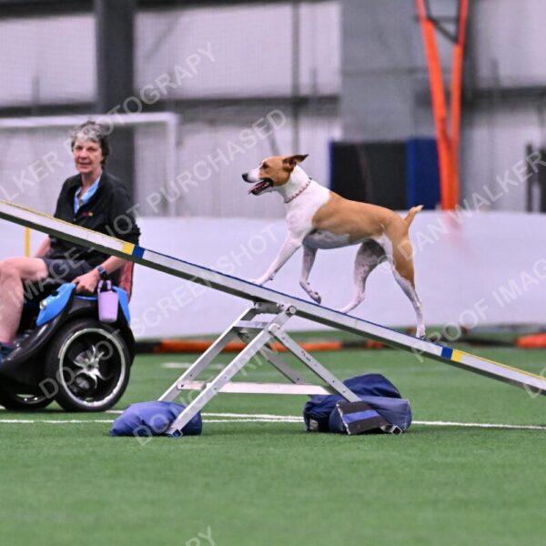 Galadocious-Jeanne-Fogarty-06273