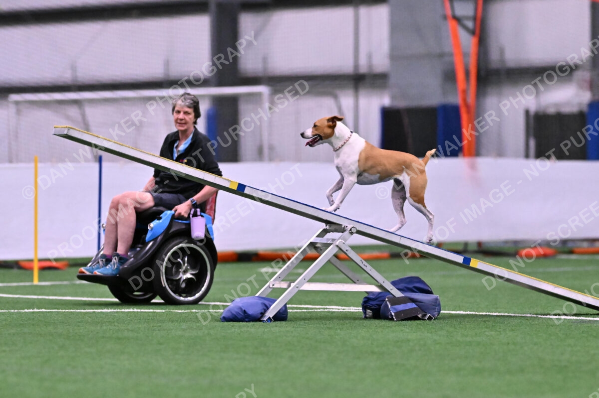 Galadocious-Jeanne-Fogarty-06274