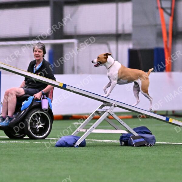 Galadocious-Jeanne-Fogarty-06274