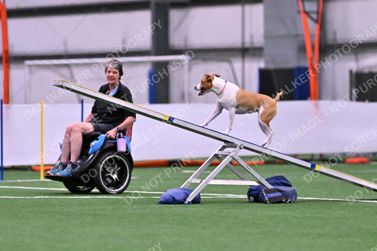 Galadocious-Jeanne-Fogarty-06275