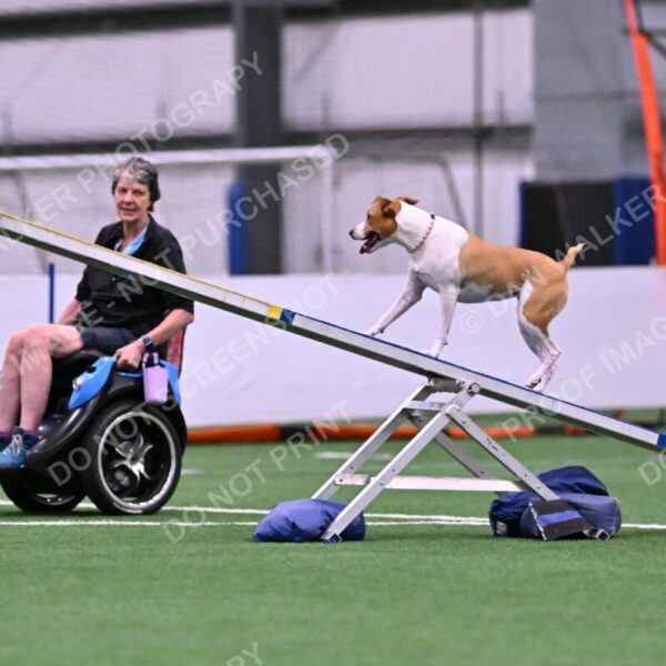 Galadocious-Jeanne-Fogarty-06275