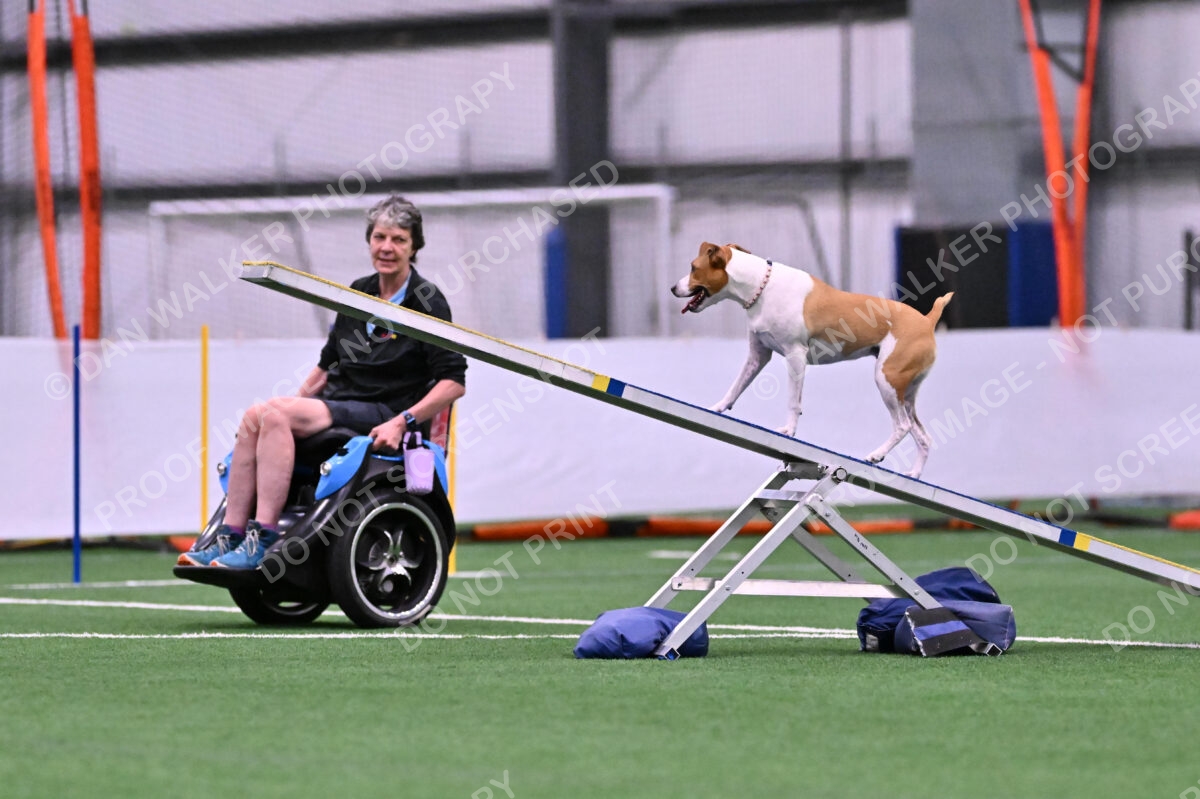 Galadocious-Jeanne-Fogarty-06276