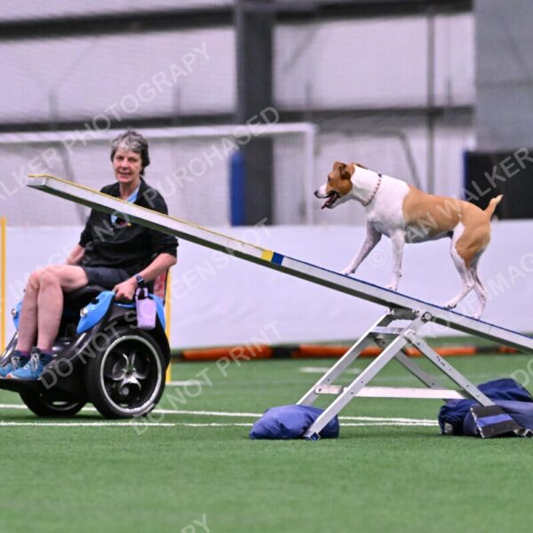 Galadocious-Jeanne-Fogarty-06276