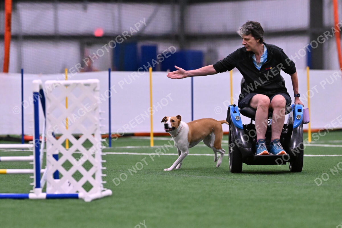 Galadocious-Jeanne-Fogarty-06277