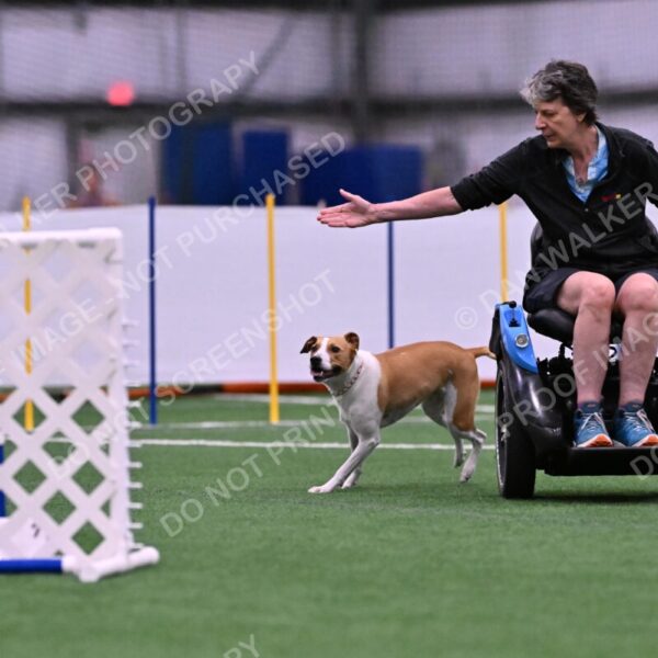 Galadocious-Jeanne-Fogarty-06277