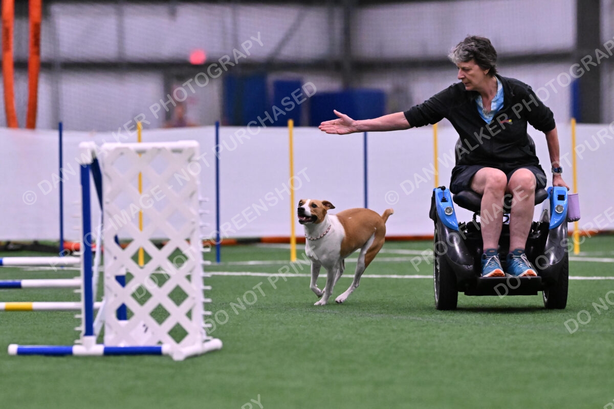 Galadocious-Jeanne-Fogarty-06278