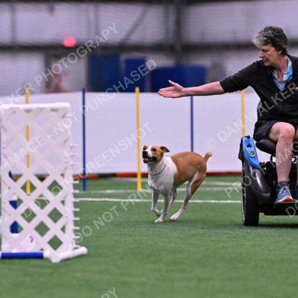 Galadocious-Jeanne-Fogarty-06278